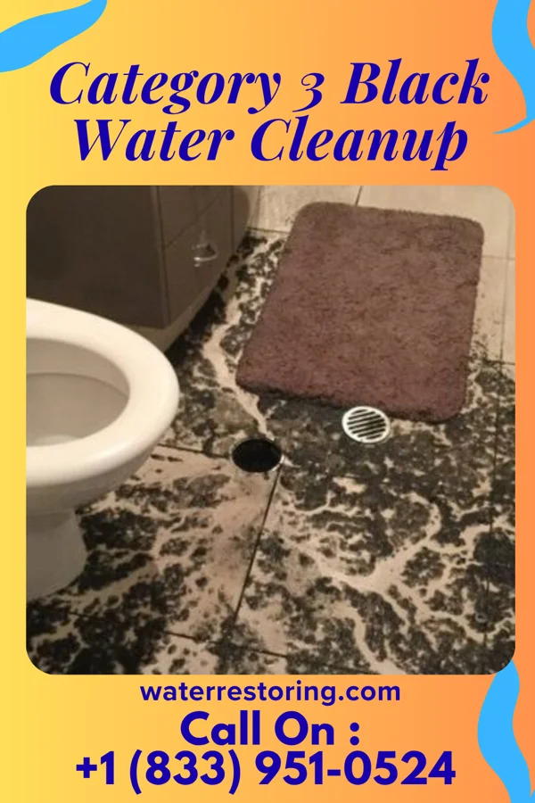Category 3 Black Water Cleanup in Valley Springs, AR
