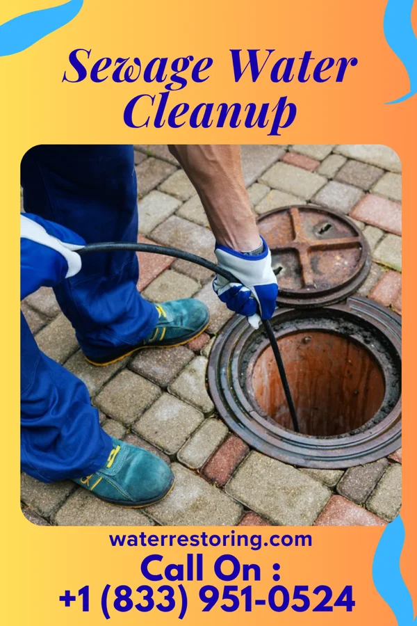 Sewage Water Cleanup in Valley Springs, AR